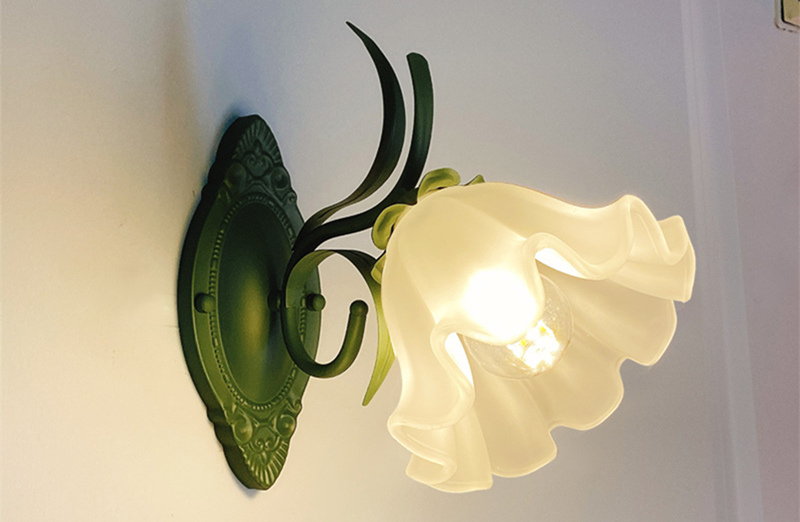 collection-banner-image