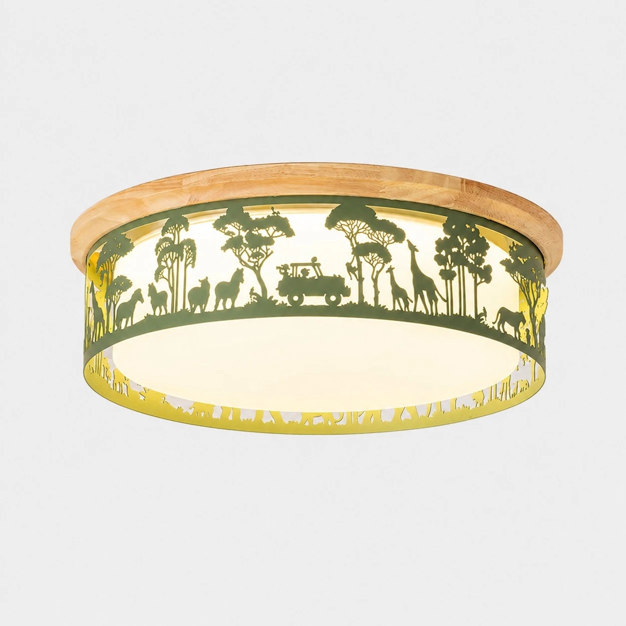 Type D Green ceiling light